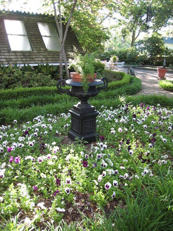Belle Oaks Inn Gonzales Dış mekan fotoğraf